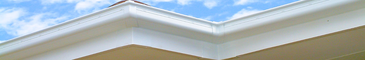 guttering-fascias-sky-1170X195-6